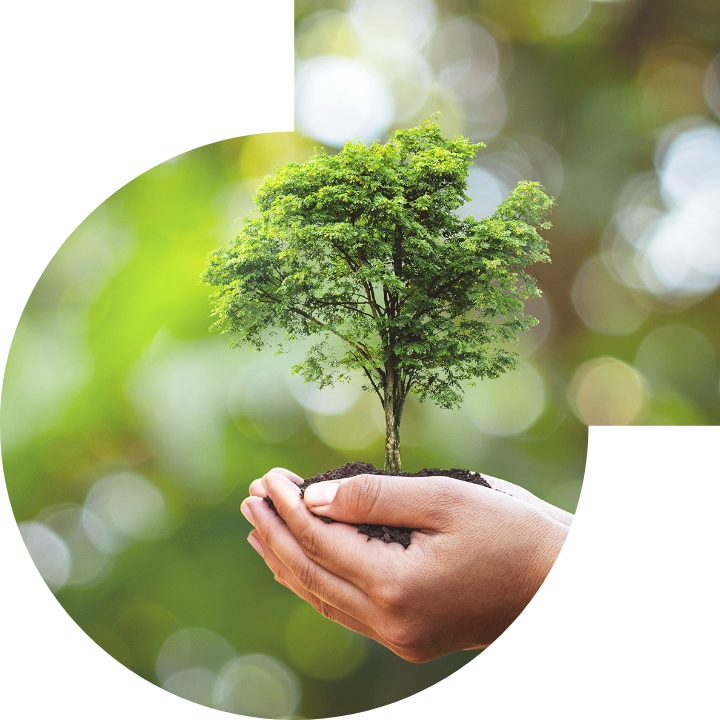 關懷人類、文化、環境與社會